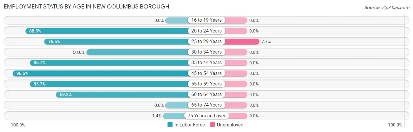Employment Status by Age in New Columbus borough