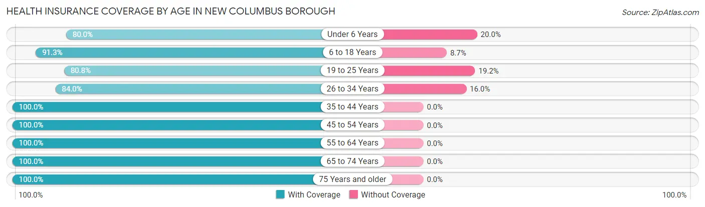Health Insurance Coverage by Age in New Columbus borough
