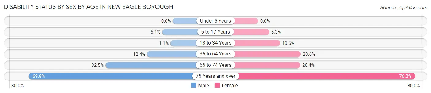 Disability Status by Sex by Age in New Eagle borough