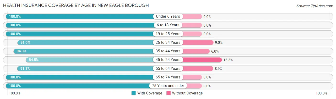 Health Insurance Coverage by Age in New Eagle borough