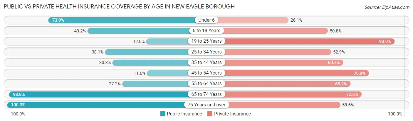 Public vs Private Health Insurance Coverage by Age in New Eagle borough