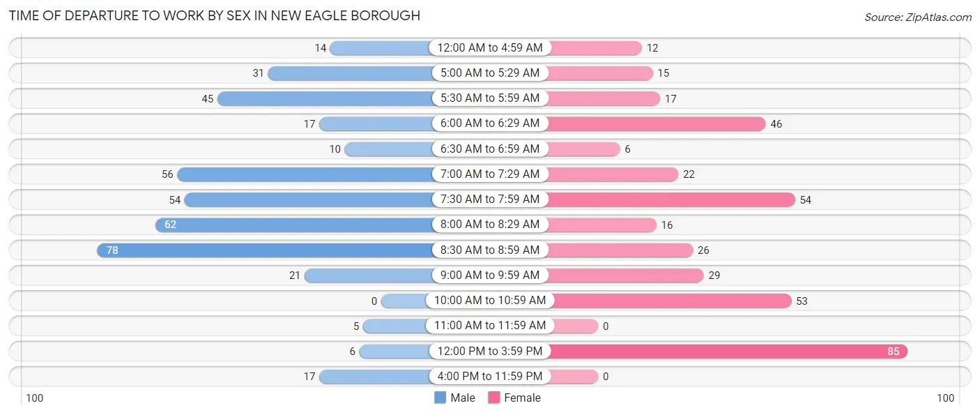 Time of Departure to Work by Sex in New Eagle borough