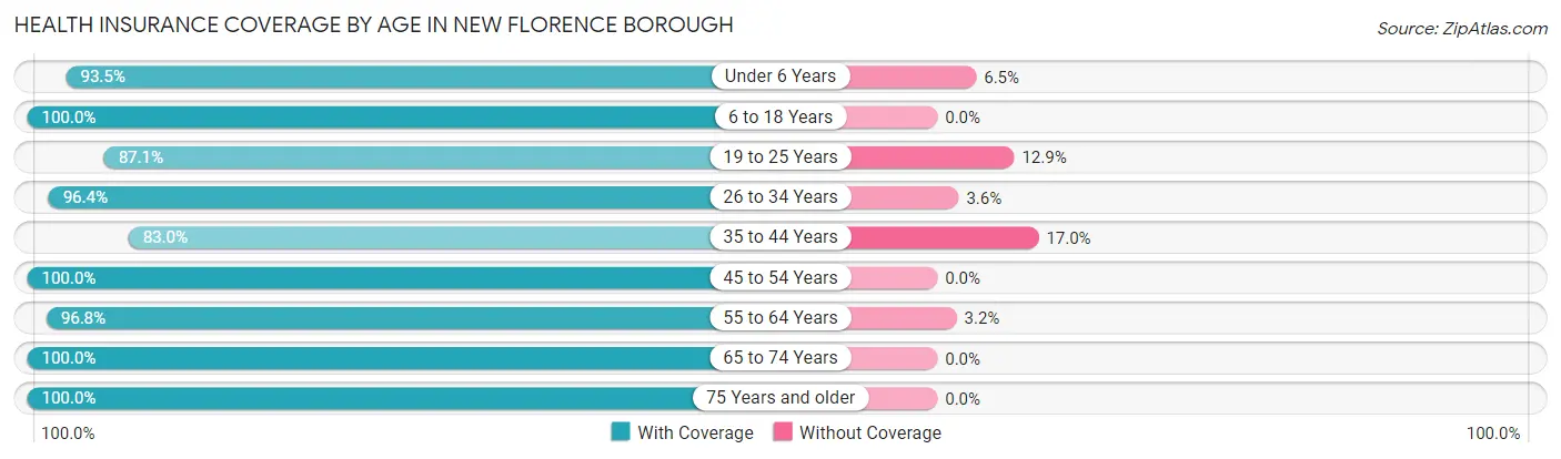 Health Insurance Coverage by Age in New Florence borough