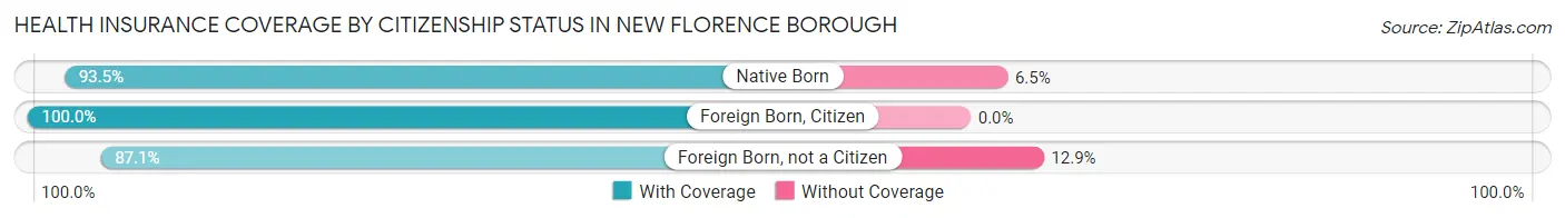 Health Insurance Coverage by Citizenship Status in New Florence borough