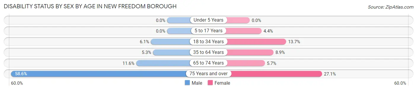 Disability Status by Sex by Age in New Freedom borough