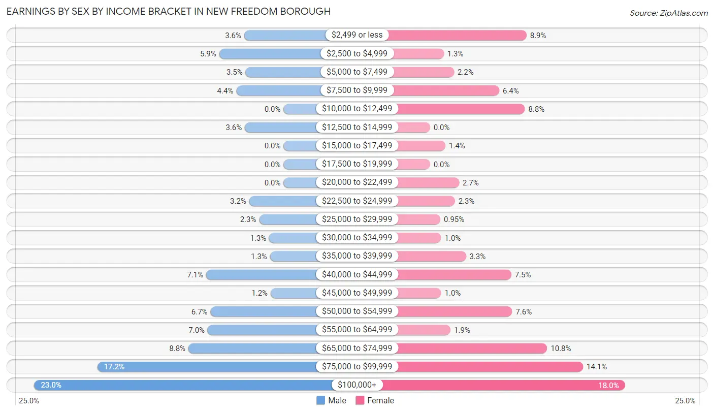 Earnings by Sex by Income Bracket in New Freedom borough