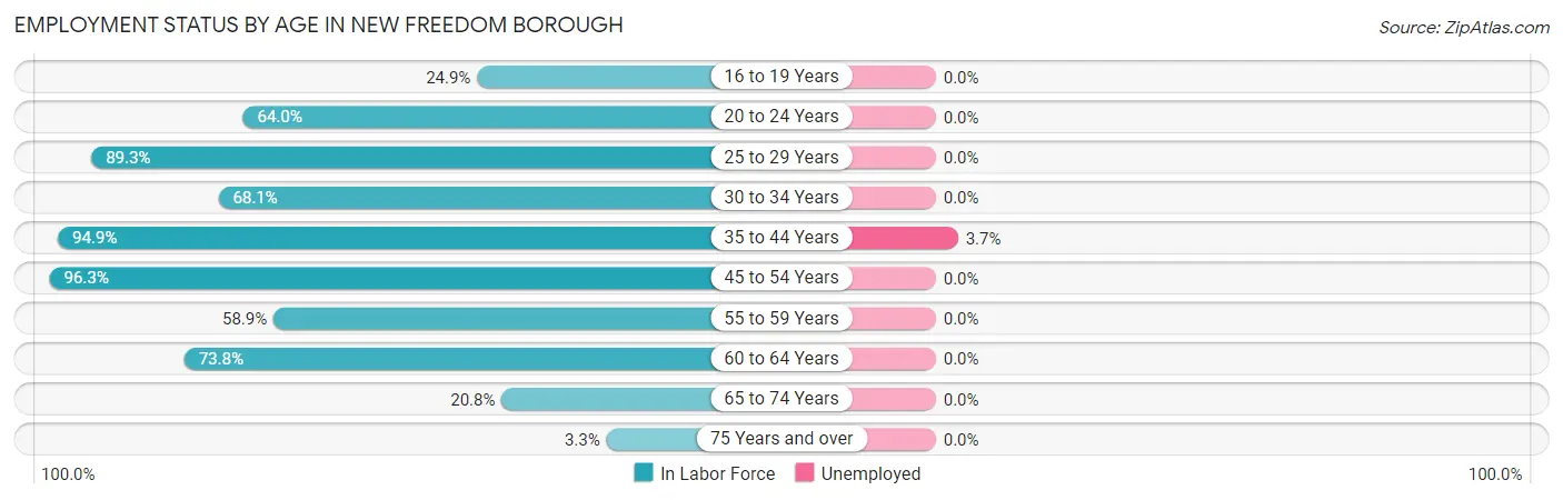 Employment Status by Age in New Freedom borough