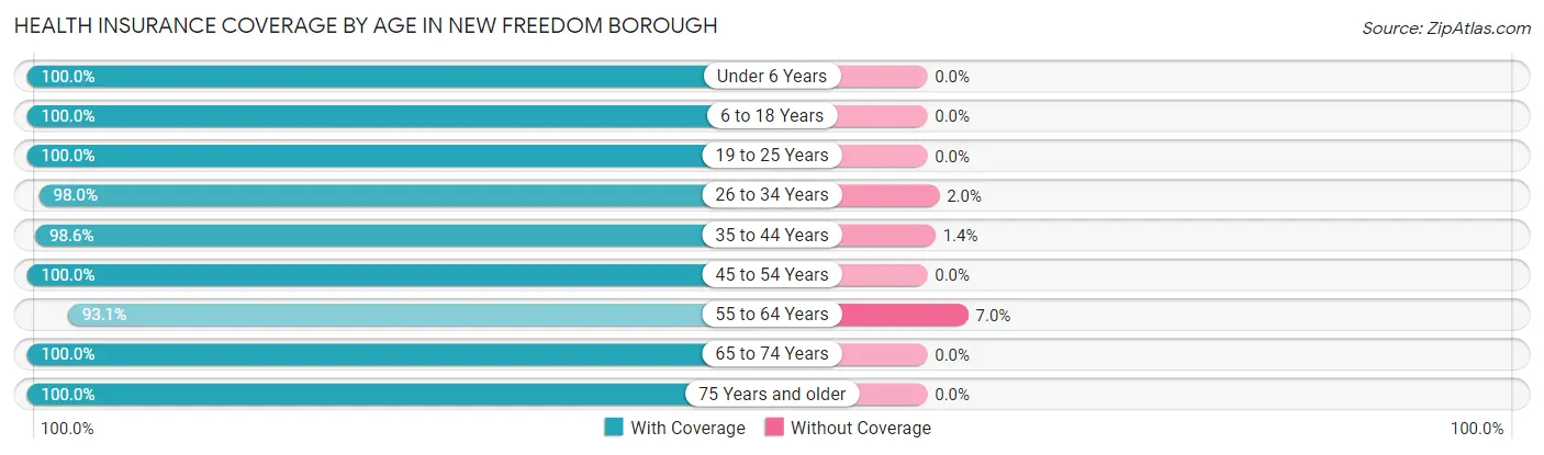 Health Insurance Coverage by Age in New Freedom borough