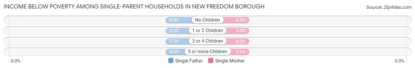 Income Below Poverty Among Single-Parent Households in New Freedom borough