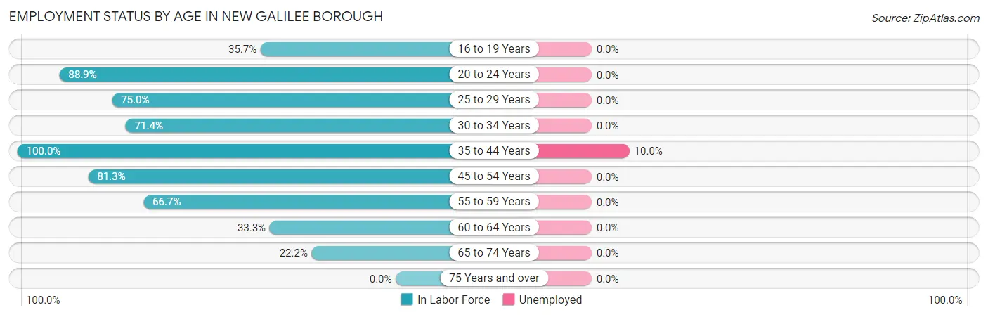 Employment Status by Age in New Galilee borough