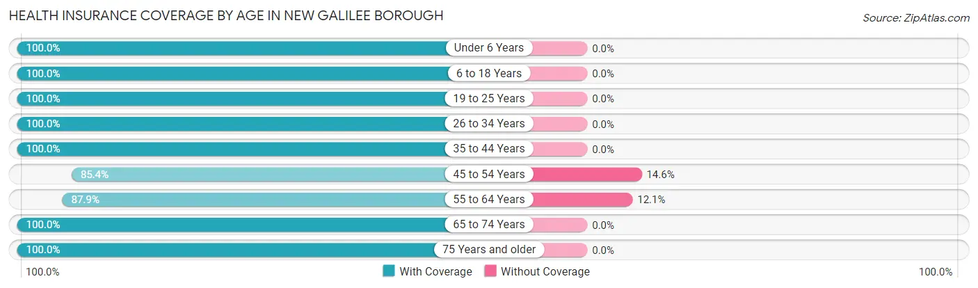 Health Insurance Coverage by Age in New Galilee borough