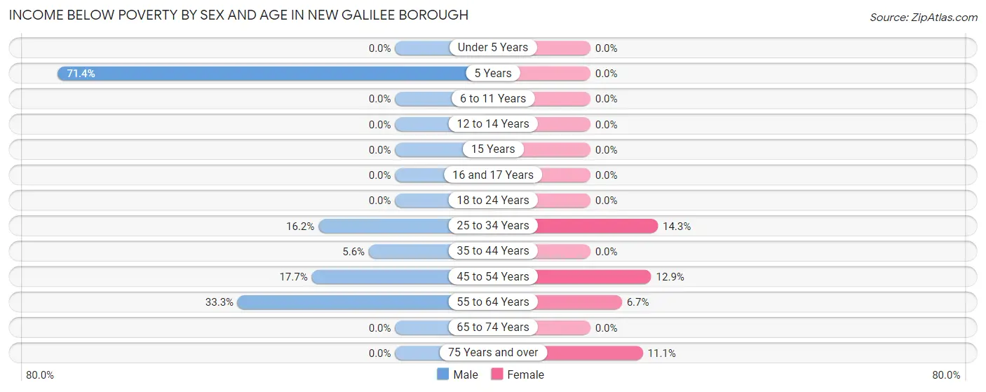 Income Below Poverty by Sex and Age in New Galilee borough