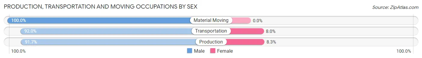 Production, Transportation and Moving Occupations by Sex in New Galilee borough