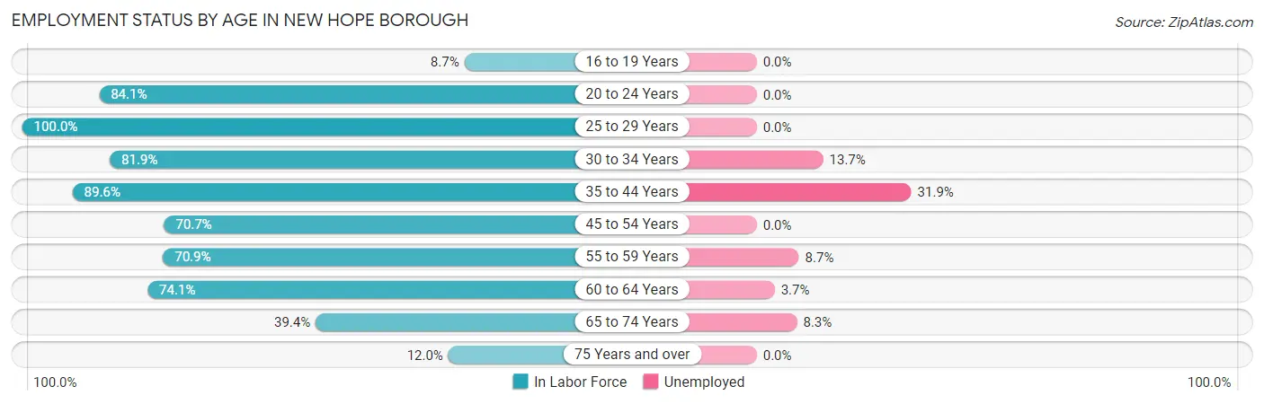 Employment Status by Age in New Hope borough