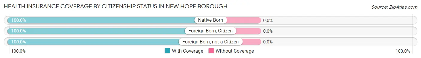Health Insurance Coverage by Citizenship Status in New Hope borough