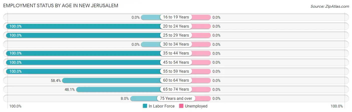 Employment Status by Age in New Jerusalem