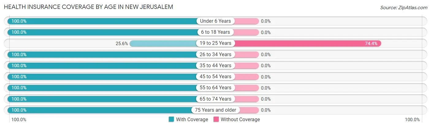 Health Insurance Coverage by Age in New Jerusalem