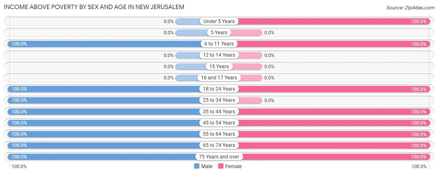 Income Above Poverty by Sex and Age in New Jerusalem