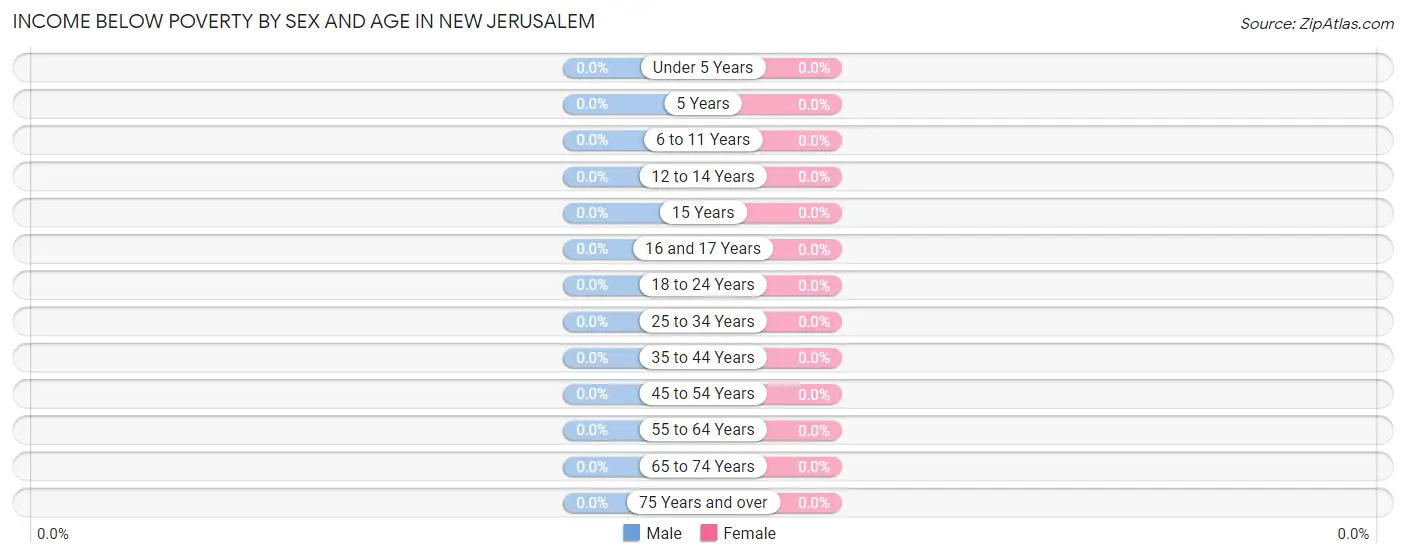 Income Below Poverty by Sex and Age in New Jerusalem