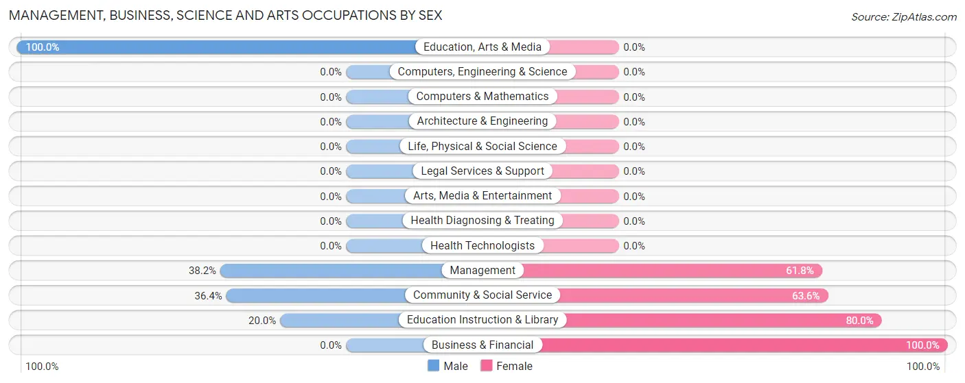 Management, Business, Science and Arts Occupations by Sex in New Jerusalem