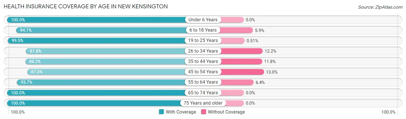 Health Insurance Coverage by Age in New Kensington