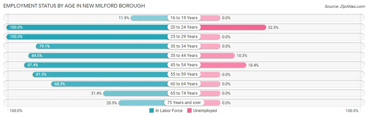 Employment Status by Age in New Milford borough