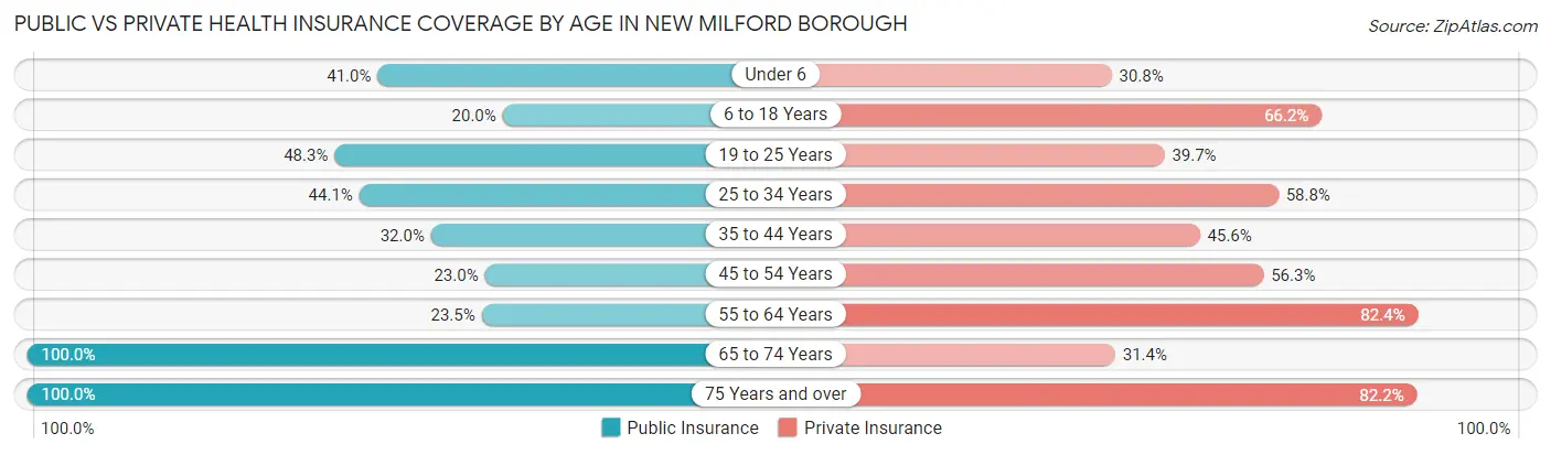 Public vs Private Health Insurance Coverage by Age in New Milford borough