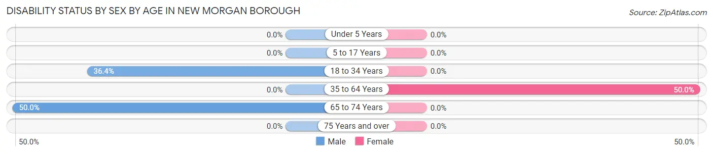 Disability Status by Sex by Age in New Morgan borough