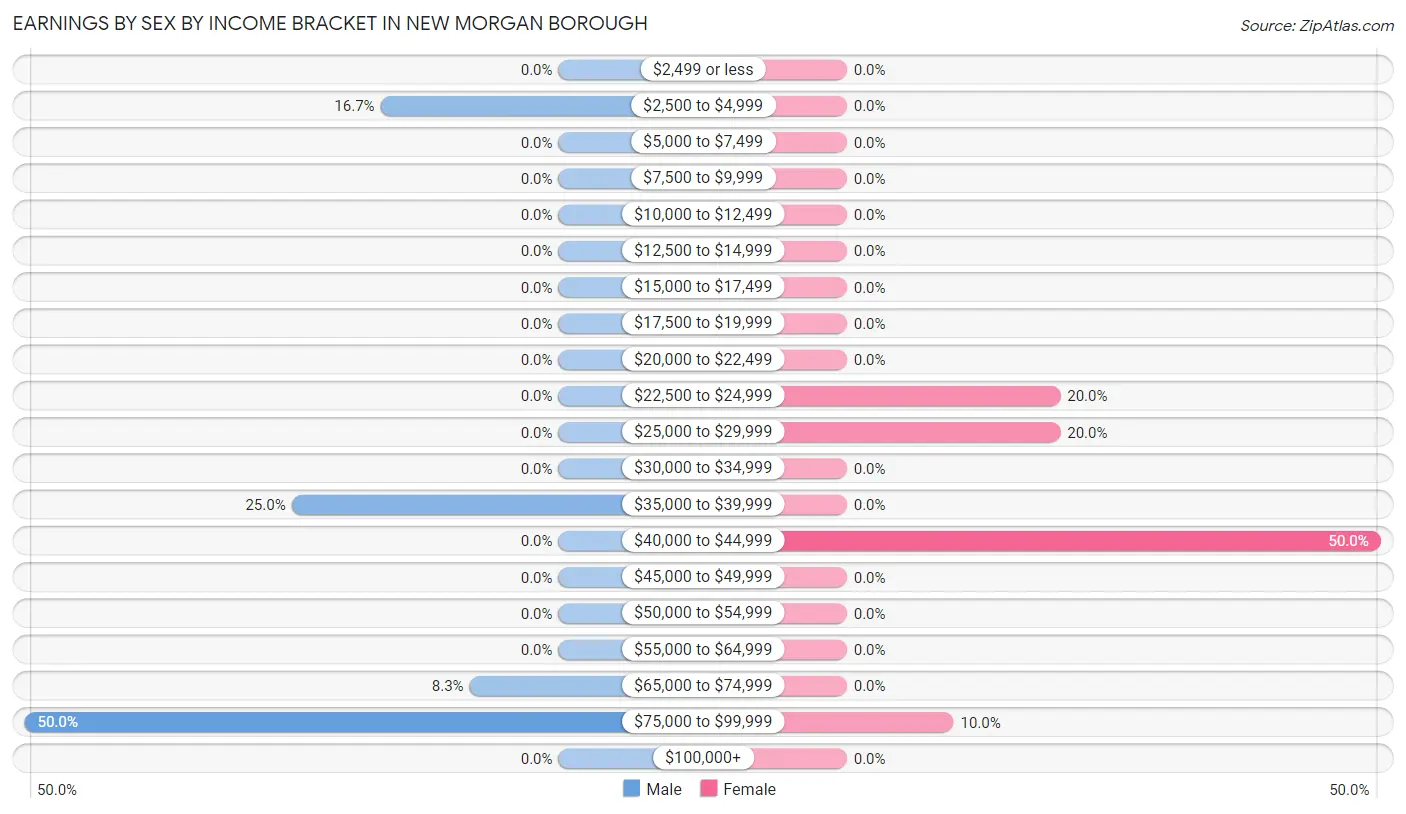 Earnings by Sex by Income Bracket in New Morgan borough