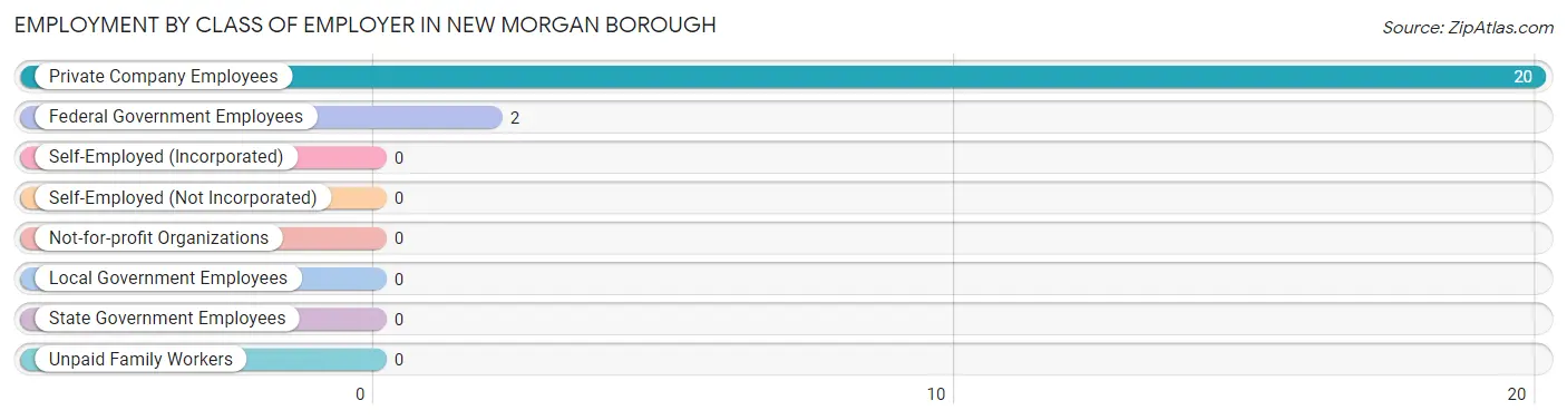Employment by Class of Employer in New Morgan borough