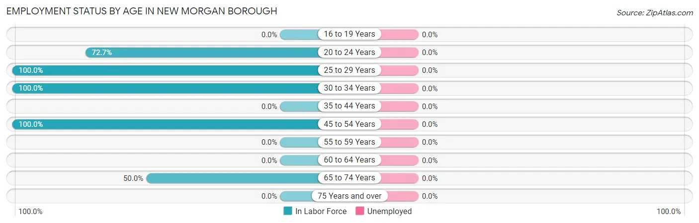 Employment Status by Age in New Morgan borough