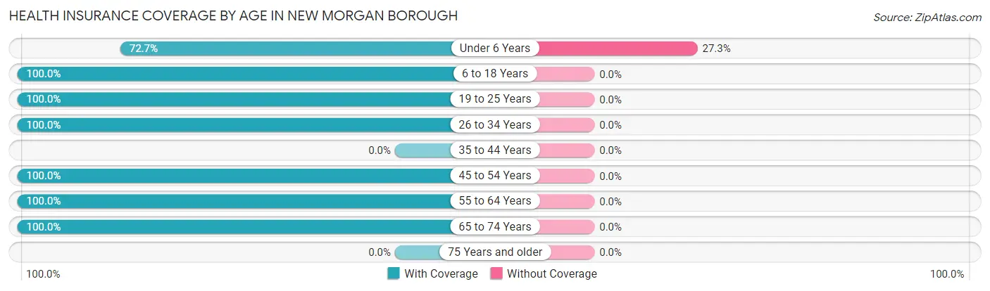 Health Insurance Coverage by Age in New Morgan borough