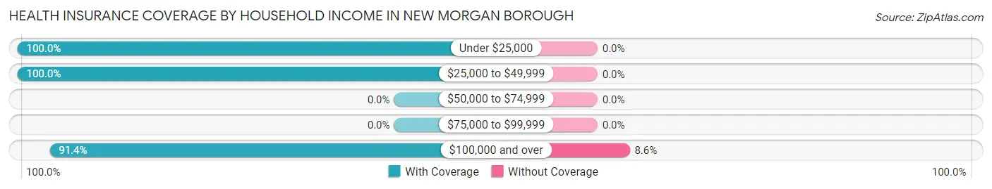 Health Insurance Coverage by Household Income in New Morgan borough
