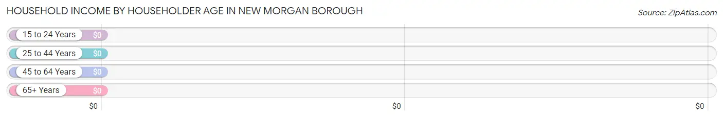 Household Income by Householder Age in New Morgan borough