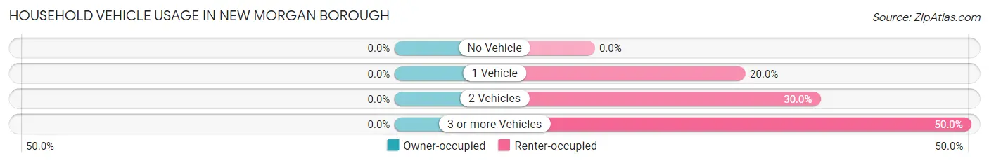 Household Vehicle Usage in New Morgan borough