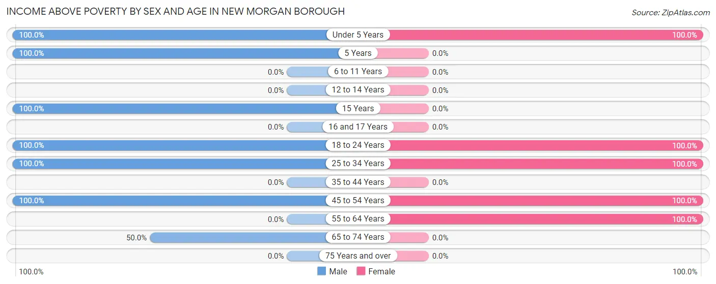Income Above Poverty by Sex and Age in New Morgan borough