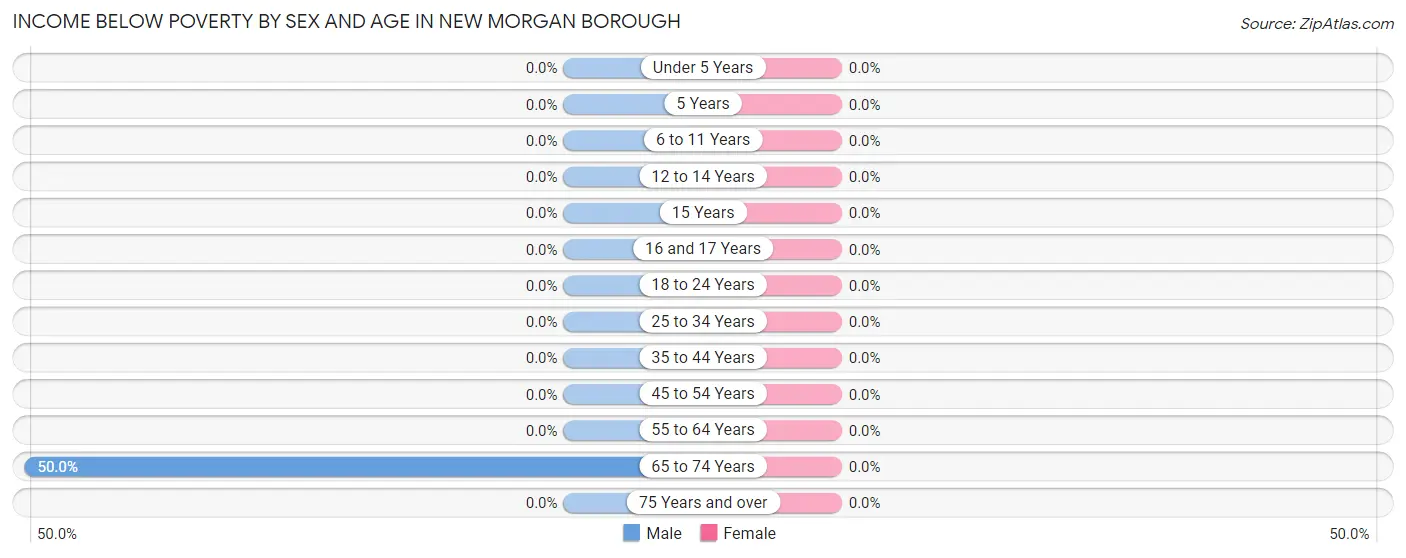 Income Below Poverty by Sex and Age in New Morgan borough