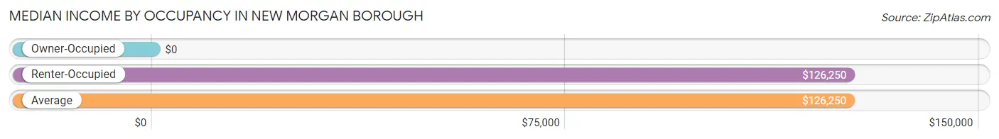 Median Income by Occupancy in New Morgan borough