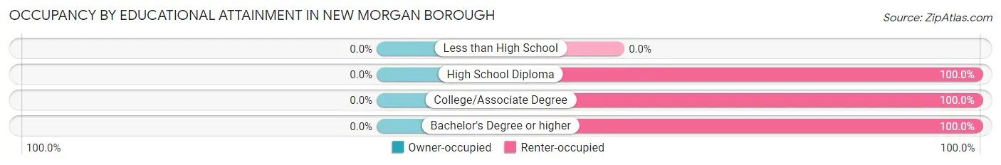 Occupancy by Educational Attainment in New Morgan borough