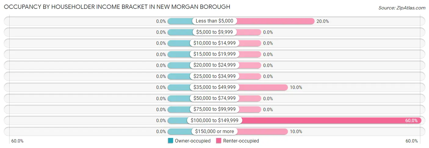 Occupancy by Householder Income Bracket in New Morgan borough