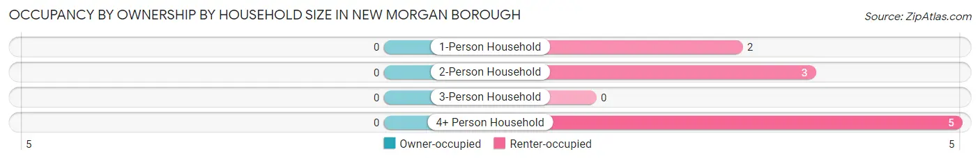 Occupancy by Ownership by Household Size in New Morgan borough