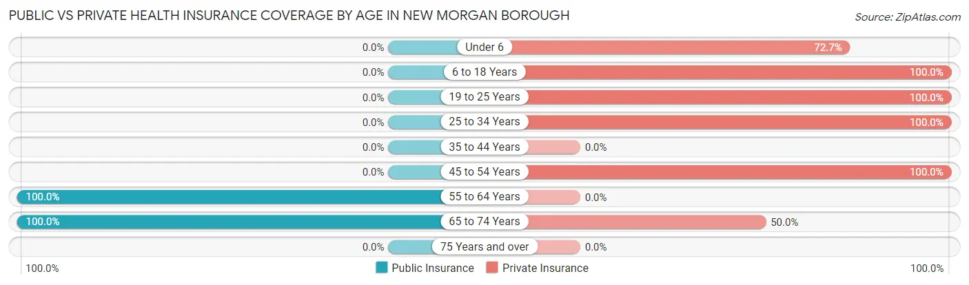 Public vs Private Health Insurance Coverage by Age in New Morgan borough