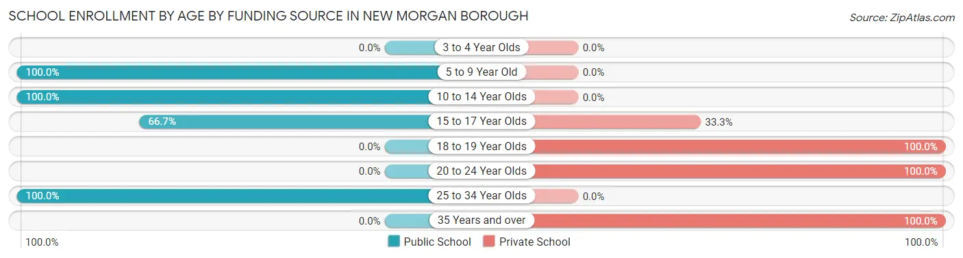 School Enrollment by Age by Funding Source in New Morgan borough