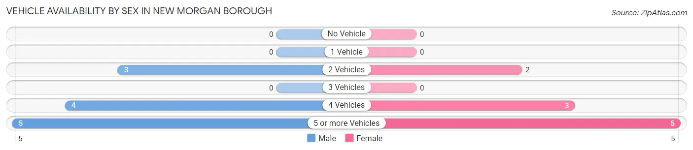 Vehicle Availability by Sex in New Morgan borough
