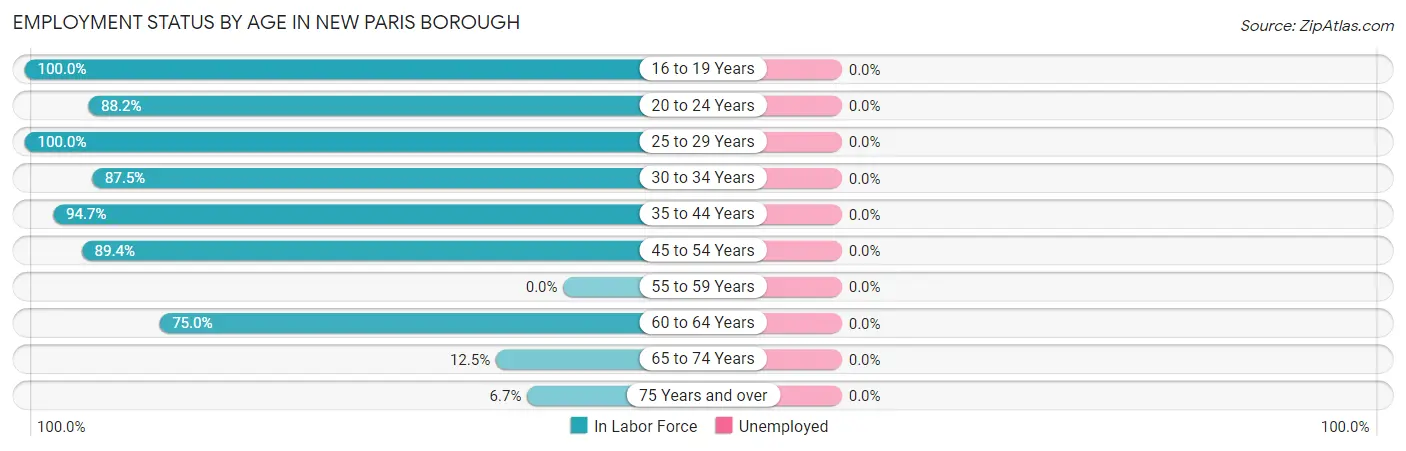 Employment Status by Age in New Paris borough