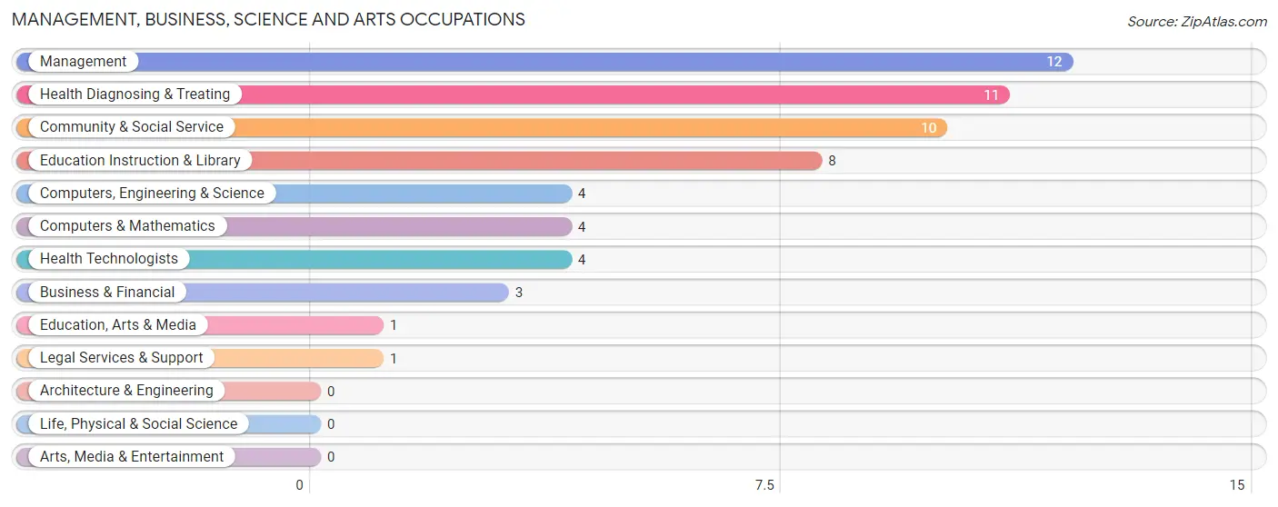 Management, Business, Science and Arts Occupations in New Paris borough