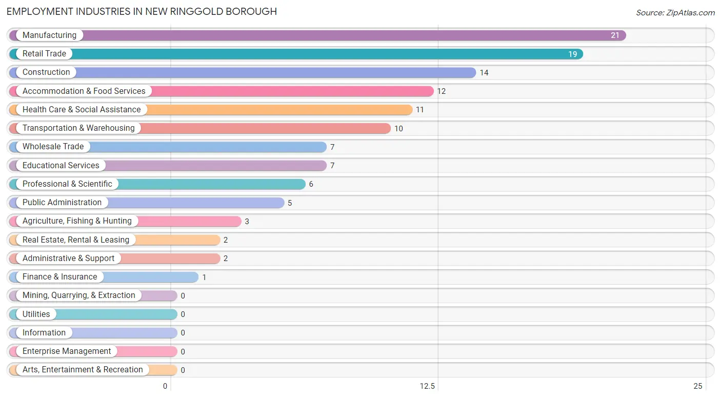 Employment Industries in New Ringgold borough