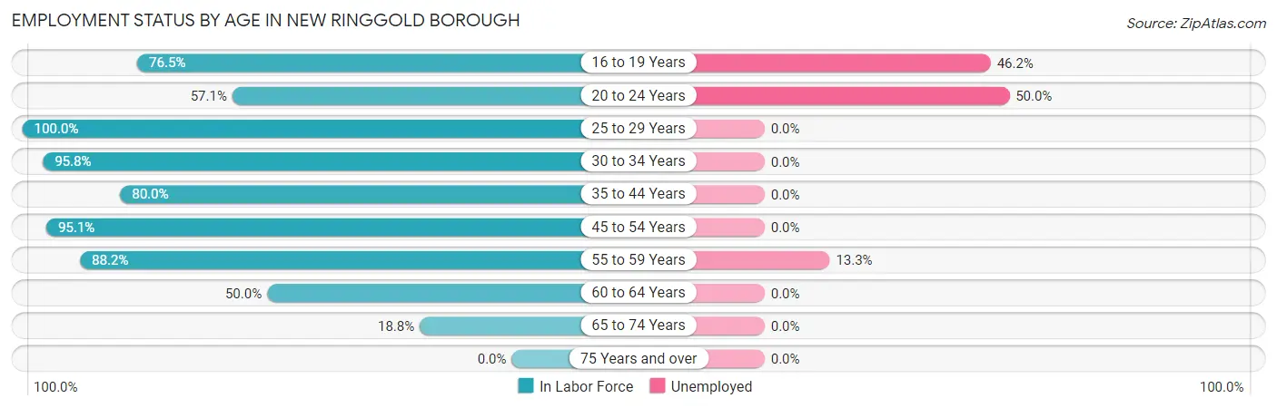Employment Status by Age in New Ringgold borough