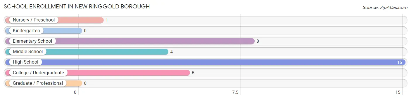 School Enrollment in New Ringgold borough