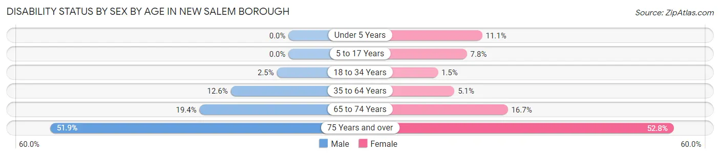 Disability Status by Sex by Age in New Salem borough